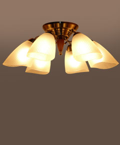 ǥꥢסŷߤ겼C2037LE1桡 AB-LED ۡE26LEDŵ塡9W x 6 ( ŵ忧 ) ...