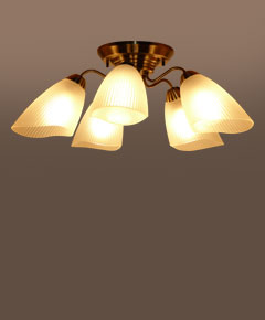 ǥꥢסC2038LE1  AB-LED   E26LEDŵ塡9W x 5 ( ŵ忧 )   ֥饦 ...