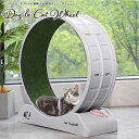 大川リビング 犬猫回転ホイール 樹脂タイプ DC-WHEEL-ABS 1台 幅79×奥33×85cm お客様組立