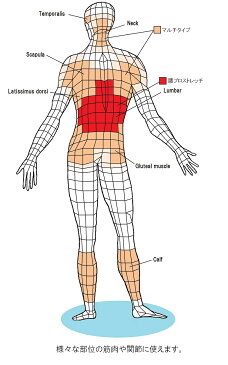 腰プロストレッチ・マルチタイプのお得なセット　肩甲骨マッサージ ふくらはぎつぼ押し 腰　骨盤まわりのマッサージ