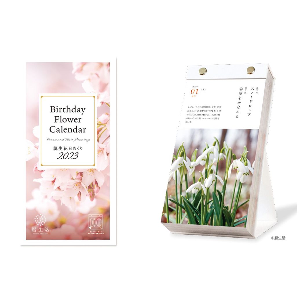 新日本カレンダー 2023年 卓上カレンダー 暦生活 誕生花日めくり Birthday Flower NK-8829(2023)