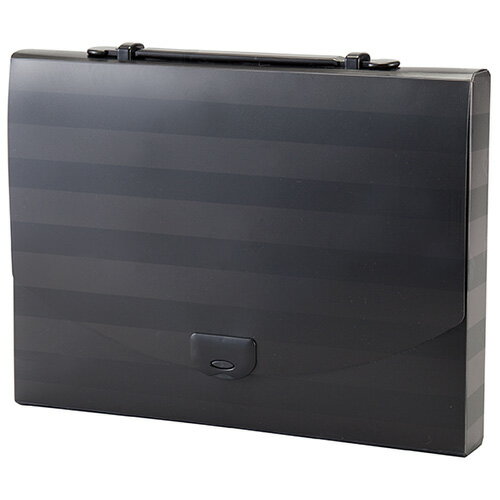 【セキセイ】 プレイング　2ウェイケース　クール　A4　ボーダー　AP-953B-00 【ケース・バッグ】 【ケ..