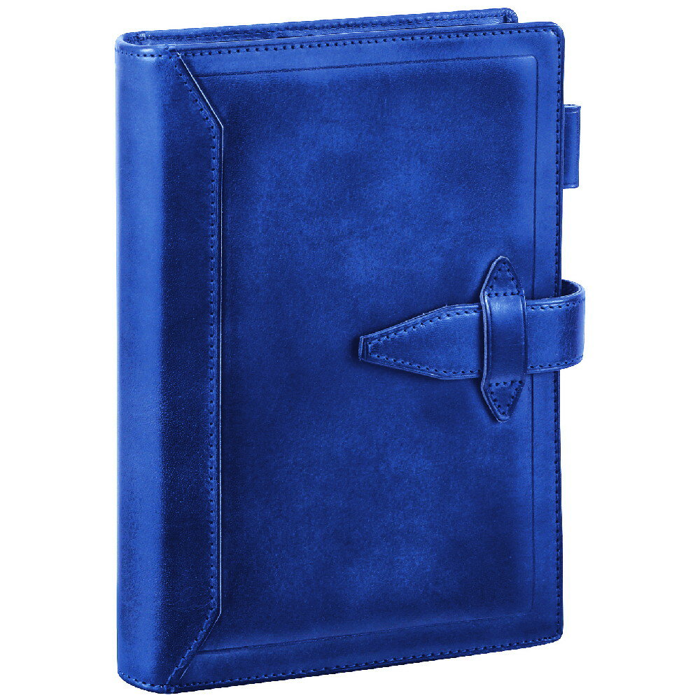 ダヴィンチ システム手帳 ロロマクラシック 聖書サイズ 24mm ブルー DB3014A 4902562486307 レイメイ藤井