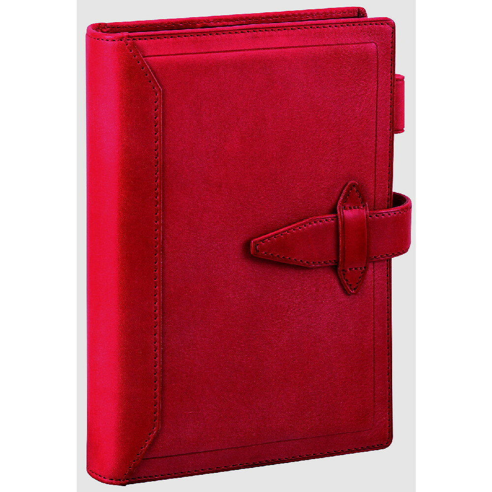 ダヴィンチ システム手帳 ロロマクラシック 聖書サイズ 24mm レッド DB3014R 4902562442150 レイメイ藤井