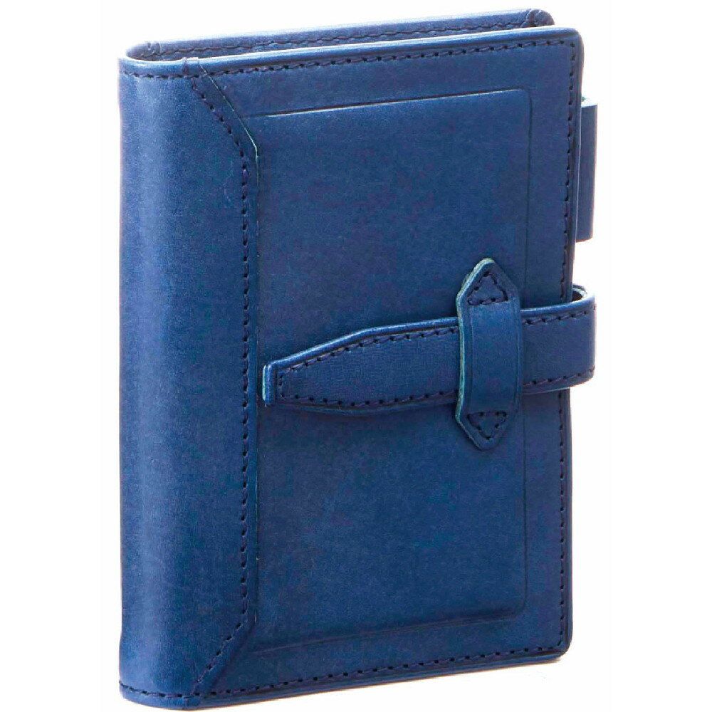 ダヴィンチ システム手帳 ロロマクラシック mini5サイズ 11mm ブルー DPM3034A 4902562485249 レイメイ藤井