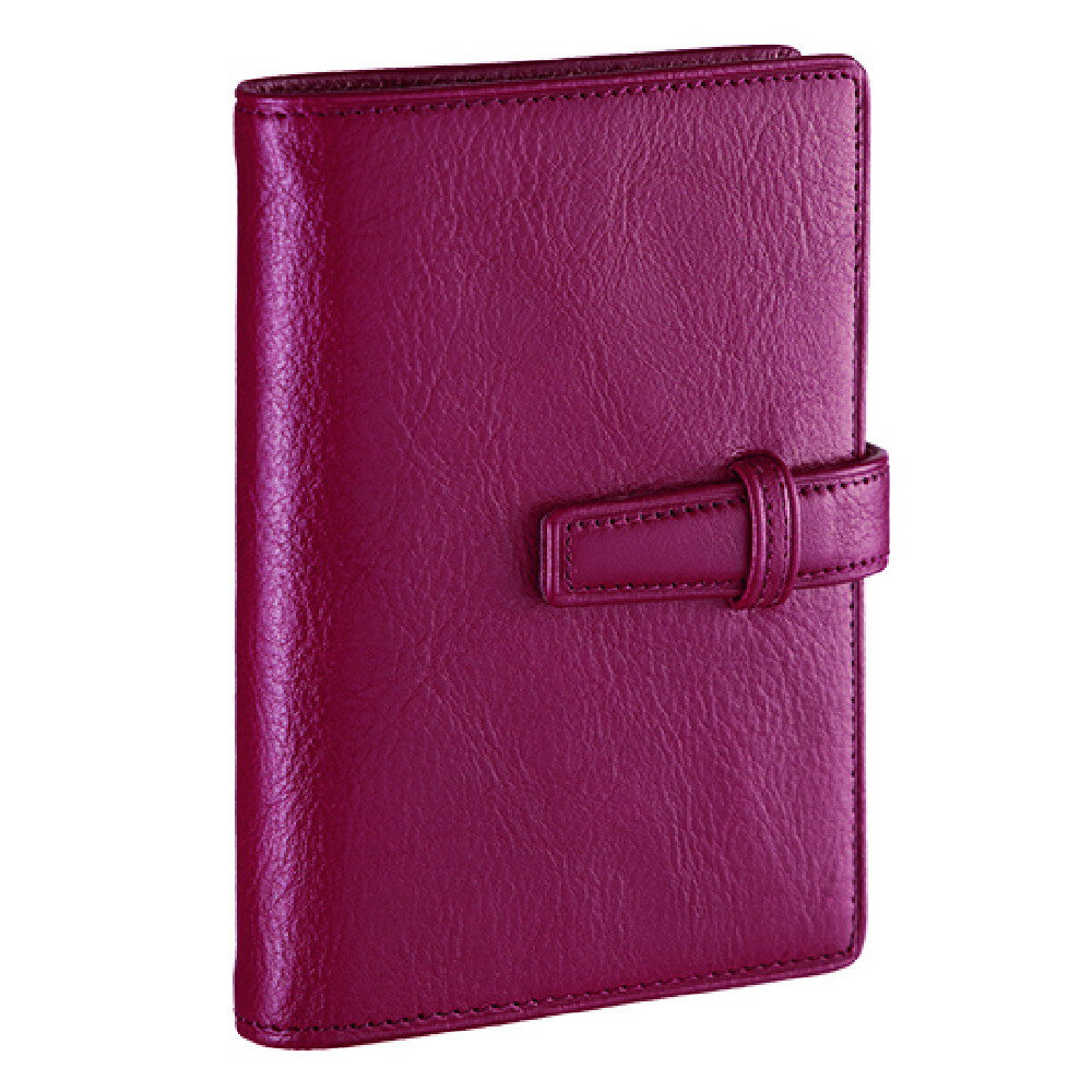 ダヴィンチ システム手帳 スタンダードmini5サイズ 11mm ワイン DPM3037Z 4902562493541 レイメイ藤井