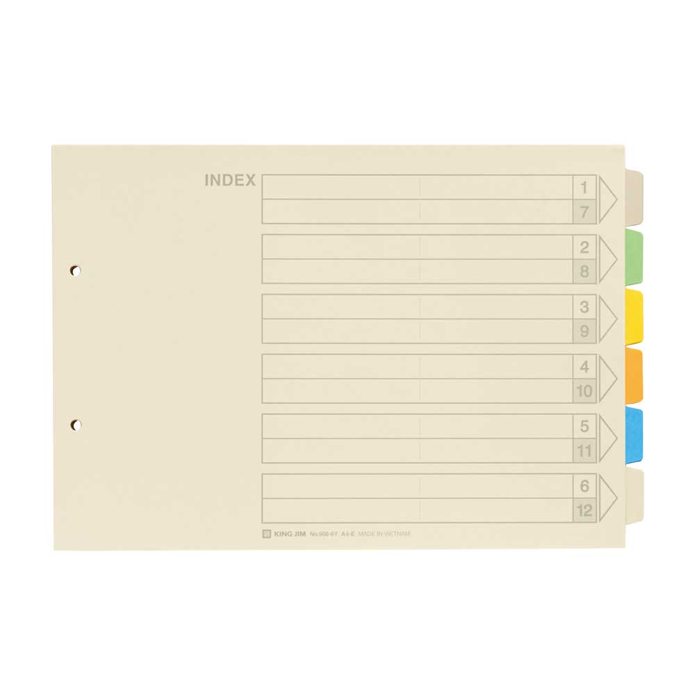 カラーインデックス 908-6Y キングジム