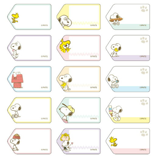 スヌーピー タグに貼れるなまえシール 27ピース 2341230A【名前シール/保育園/幼稚園】【メール便対応】【サンスター文具】