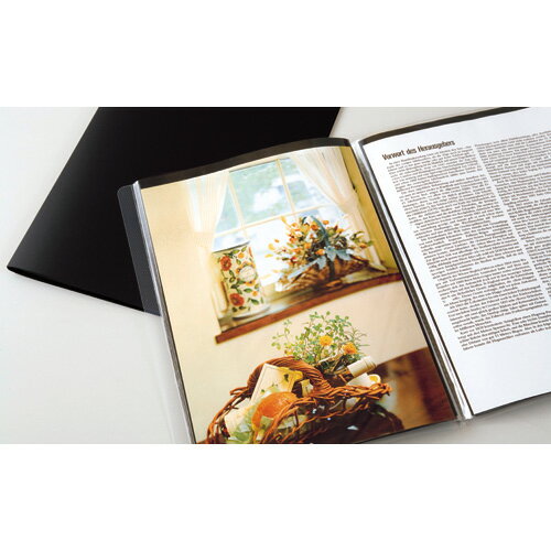 �ڥ��������� �ץ쥼��ۥ�����������ѡ�����䡼��A4-S��12�ݥ��åȡ����ꥢ SCH-50-90 �ڥե������ �ڥۥ������