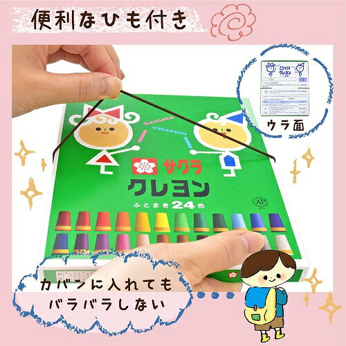 クレヨン太巻24色(ゴム紐付) LY24R 【イラスト／デザイン／塗り絵／工作／知育／小学生文具／色鉛筆／クーピー／水彩】【メール便送料無料】【サクラクレパス】 3
