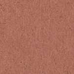 【J-324399】【大王製紙】再生色画用紙 8ツ切 10枚 こげちゃ【画用紙・方眼紙】