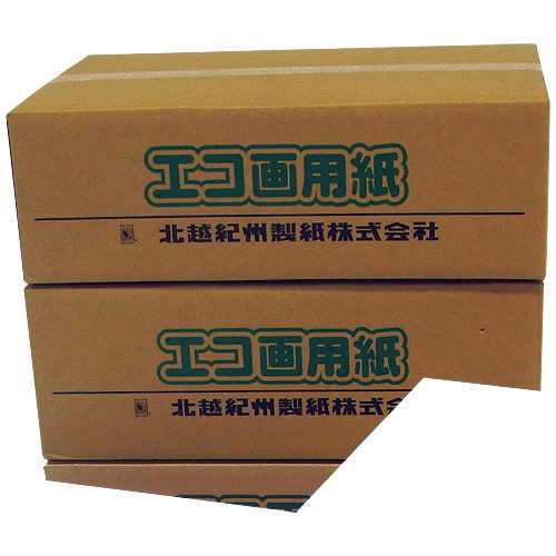 商品名 ＊エコ画用紙4ツ切薄口 85-4 200枚 商品番号 31138 仕様 ■画用紙■寸法：縦385×横541mm■薄口■坪量：102．4g／■入数：200枚■画用紙紙厚：174μm JANコード 4535449850245水彩画などに適しています。
