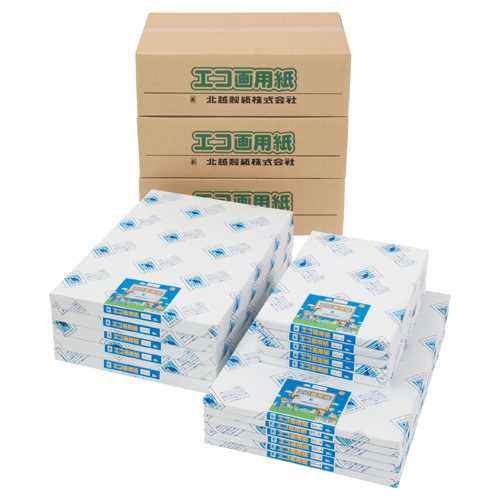 商品名 エコ画用紙 4ツ切特厚 170-4 100枚 商品番号 170-4 仕様 ■サイズ：381×541mm■入数：100枚 JANコード 4535449170046規格：四つ切・特厚口