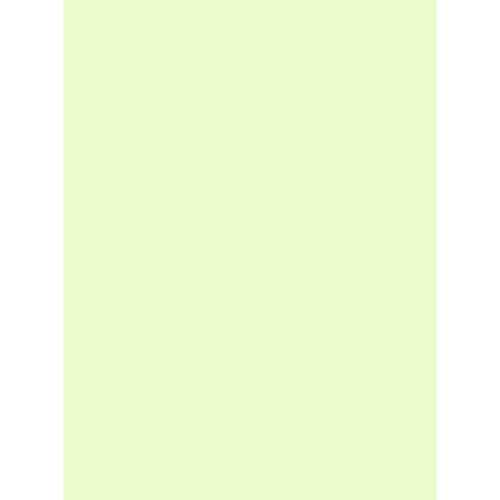 B4 Size Paper - 【J-86424】【大王製紙】マルチカラー紙 CW-630C B4 若草 500枚【コピー用紙】