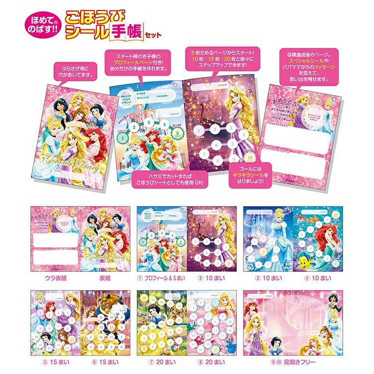 何点でも送料一律　ほめてのばす！ごほうびシール手帳セット ディズニー プリンセ...