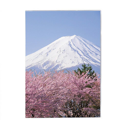 Rakuten - 【セキセイ】 パックン　カバーノート　高透明　A5　富士山　春　PKN-735-00　 【ノート・紙製品】 【ノート】