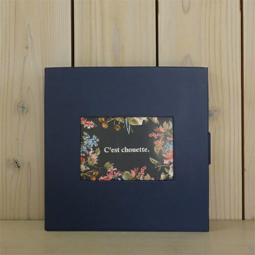 【セキセイ】 HOOK COLOR ボックス <ネイビーブルー> HK-5785-15 【ボックスファイル】 【小物整理用品】 【ポイント10倍】