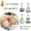 \1点最安925円・2点購入で★P5倍/うさぎの毛 キーホルダー ペット 遺毛 ケース 透明 ペット 遺毛入れ 1/2個セット ペットメモリアルボトル うさぎの...