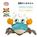 \1点7%OFF&2点12%OFF・P5倍/カニタコおもちゃ 動く カニ こども おもちゃ 知育玩具 かにかにカーニバル かに 光る 電動 自動 ロボット 充電...