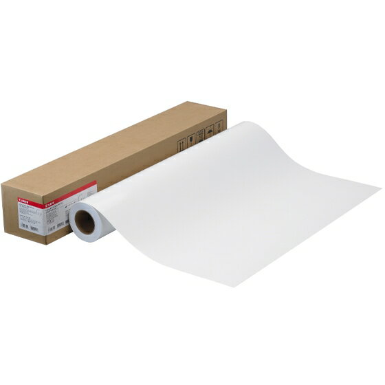 Rakuten - フォト光沢紙HG（厚口）LFM-GPH/36/255　4377B003