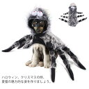 ペットハロウィン衣装 仮装 ハロウィンウエア 翼 クモ 猫用 犬用 変装 変装 変身 おもしろグッズ かわいい 可愛い コスチューム ペットハロウィン衣装 パーティー