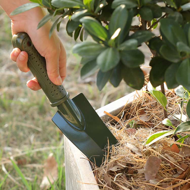 2�����åȥ����ǥ˥󥰥ġ��� �����ǥ˥󥰥ġ��� �����ǥ����� �ߥ� ������� �����å� ��¤��깩�� ¿����ʪ �󤻿��� �����å� �����ǥ˥� ���� �ߥ� �������