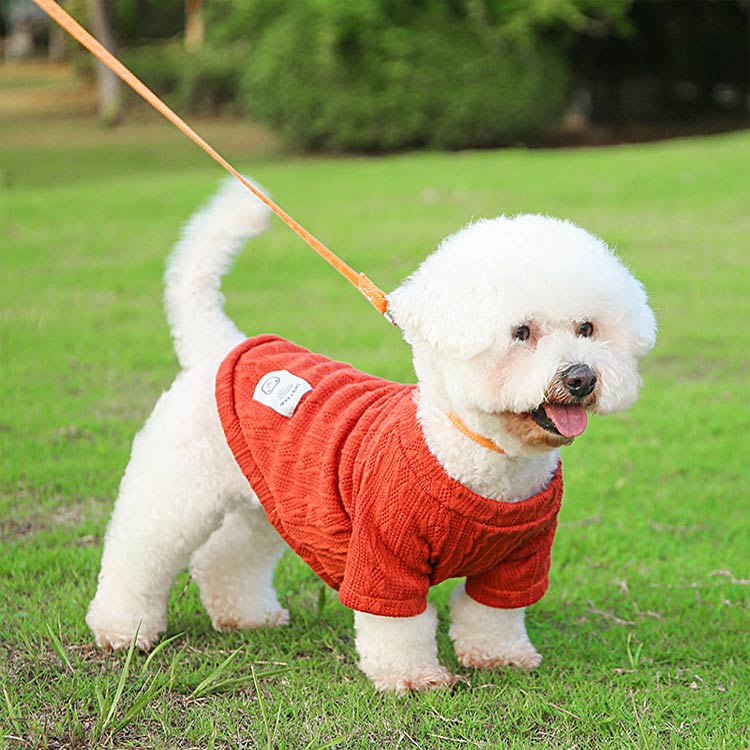 オフィスコネクト楽天市場店の犬 小型犬 犬用 ロングTシャツ ニット 長袖 犬服 女の子 ウェア ドッグウエア 犬の服 おしゃれ かわいい 犬服 犬 服 ペット ペットグッズ ペット用品 かわいい おしゃれ 服 犬 秋服 犬 冬服 犬 秋冬服 犬 男の子 女の子 送料無料｜アングル2
