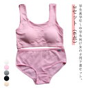 上下セット 肌着 子供 下着セット キッズ パッド付き カップ付き 中学生 3セット(6点) パンツ ブラジャー 大人 ショーツ ガールズ 女の子 インナー ア...