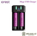 Efest Mega USB Charger/バッテリーチャージャー/イーフェスト/バッテリー充電 電子タバコ ベイプ vape 充電器 microUSB充電 メガ 