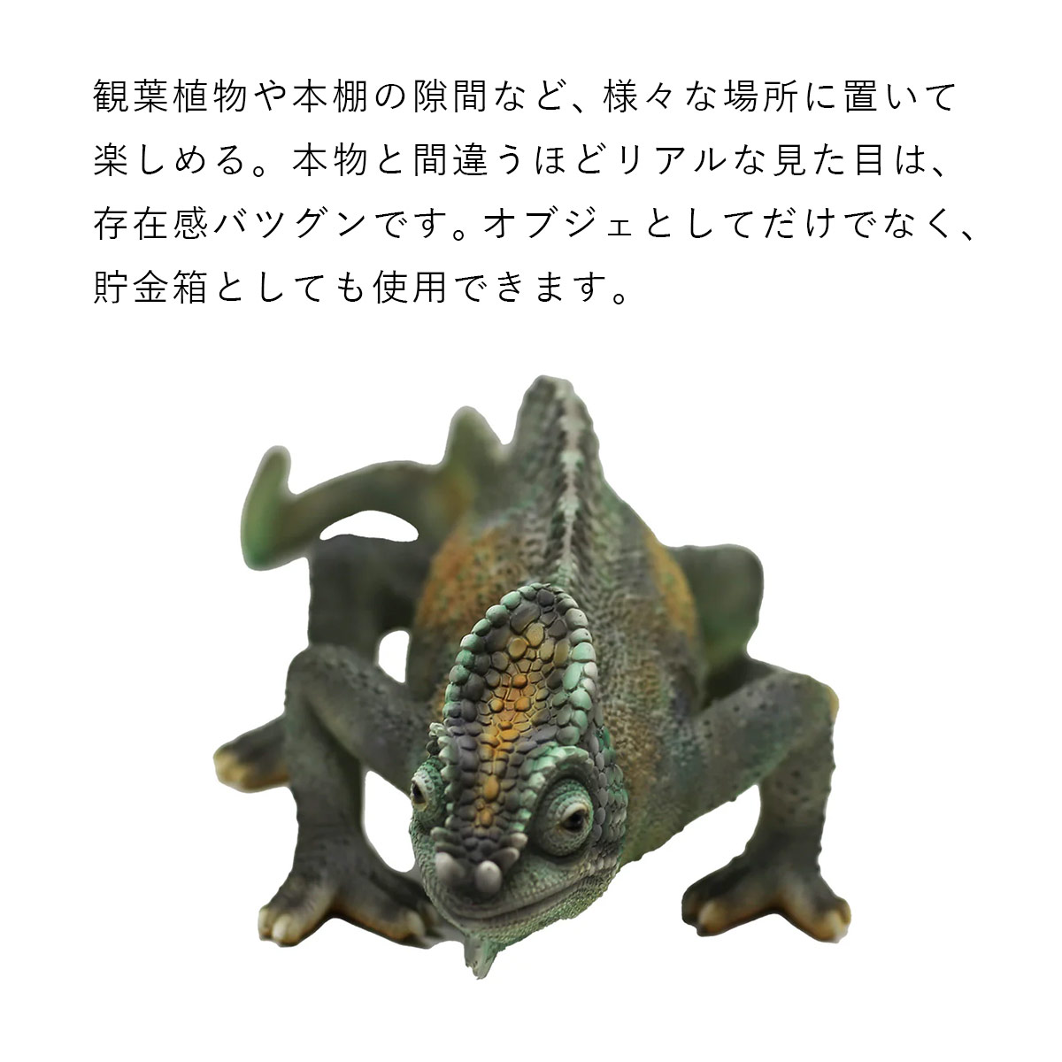 PET BANK ペットバンク PERSON CHAMELEON パーソンカメレオン | カメレオン / 貯金箱 / オブジェ / 置物 / 癒し / インテリア / ギフト / magnet / マグネット【沖縄・離島 お届け不可】 [3]