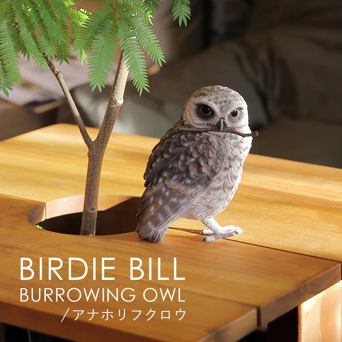 乐天商城 - BIRDIE BILL バーディ ビル BURROWING OWL アナホリフクロウ | ふくろう / 梟 / オブジェ / 置物 / 磁石 / クリップホルダー / デスク / 癒し / インテリア / ギフト / magnet / マグネット【沖縄・離島 お届け不可】