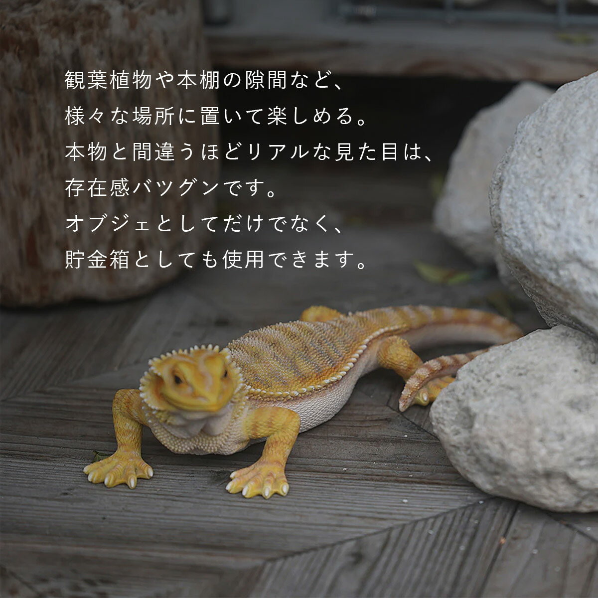 PET BANK ペットバンク POGONA ポゴナ | フトアゴヒゲトカゲ / 貯金箱 / オブジェ ...