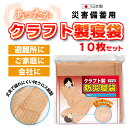 防災寝袋 クラフト製（PEクロス）10枚セット / 非常用 / 災害用 / 防災用品 / 避難所 / 防寒 / 緊急時 / 備蓄品 / 車内 / 大型ごみ袋 / シュラフ / 寒さ対策 / アウトドア / 日本製【沖縄・離島 お届け不可】【代引き不可】