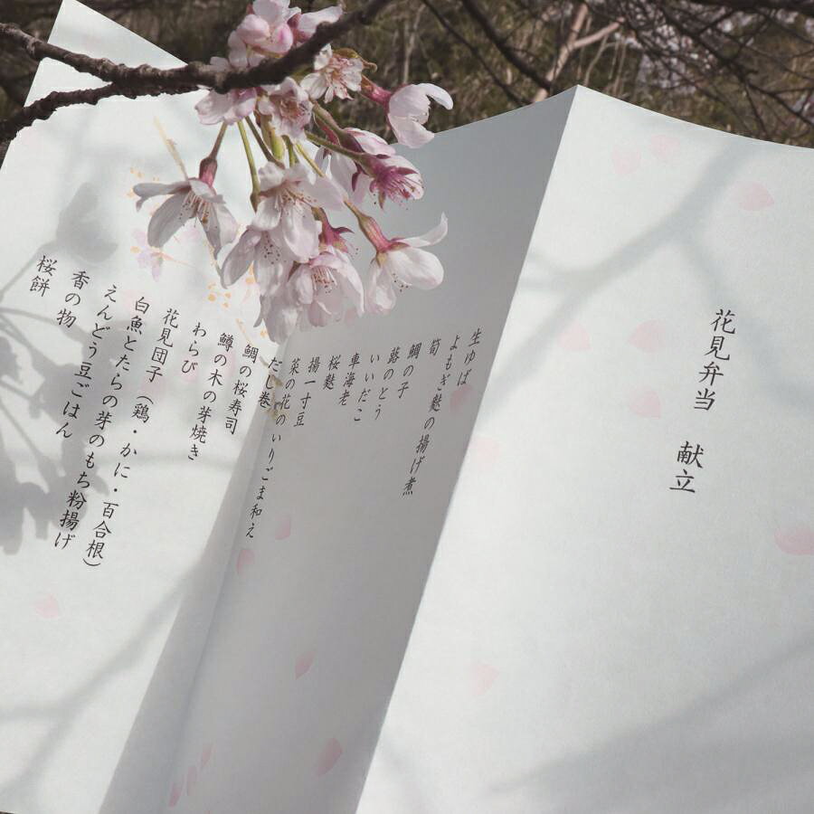 【20枚入×4セット】コピー プリンタ用紙 大直 和紙 柄入 シーズナル和紙 桜 A4 / ...