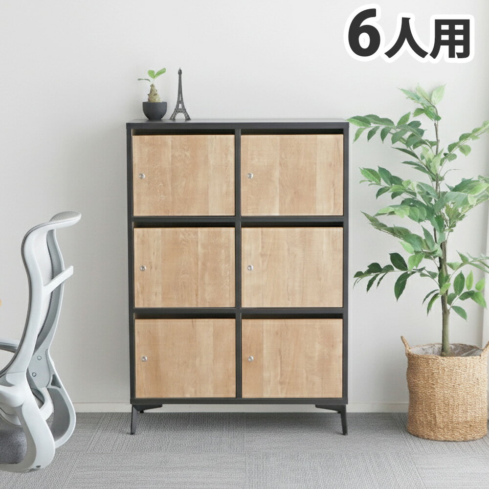 乐天商城 - 木製ロッカー 6人用 鍵付 日本製 準完成品 TNSタナス ロッカー 6P おしゃれ