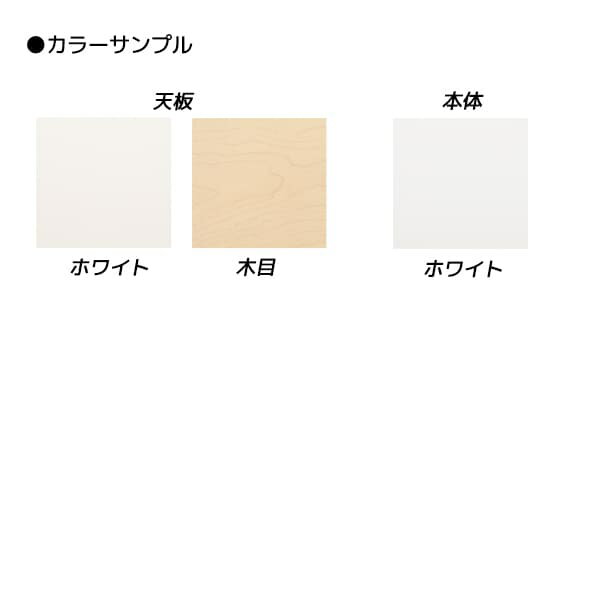 ライオン事務器 平机 ビジネスデスク LDVシリーズ W2000×D600×H720mm LDV-M206N [テーブル デスク オフィスデスク 事務机 事務デスク 平デスク 机 つくえ 事務用 オフィス家具 オフィス用 オフィス用品]