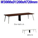 ライオン事務器 REGALISTA レガリスタ 大型テーブル W3000×D1200×H720mm RGL-3012 [黒色 テーブル 大型ミーティングテーブル...