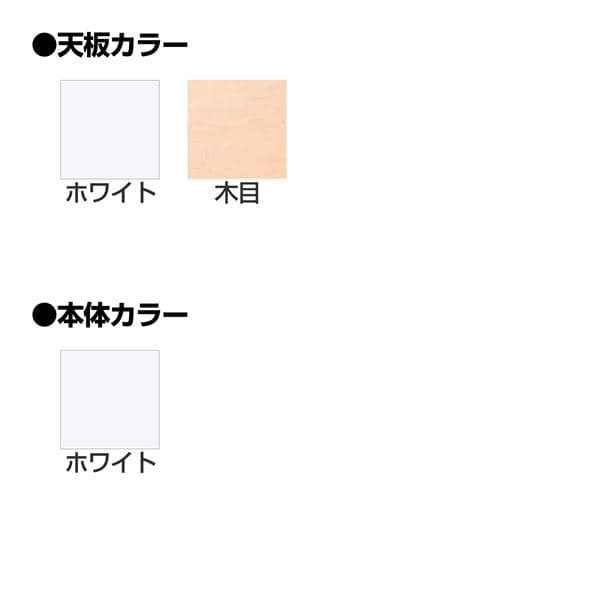 ライオン事務器 LDV ビジネスデスク 片袖机 片袖デスク E袖タイプ W1100×D600×H720mm LDV-M116SS-E [テーブル デスク オフィスデスク 事務机 事務デスク 机 つくえ 事務用 オフィス家具 オフィス用 オフィス用品]