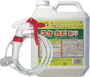 【ポイント10倍キャンペーン当店バナーよりエントリー必須】屋外用 コケカビ取り 4Lタイプ 噴射ノズル付き