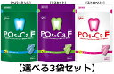 【ポイント10倍キャンペーン当店バナーよりエントリー必須】【選べる3袋セット】ポスカ・エフ(POs-Ca F)パウチタイプ <ペパーミント・マスカット・ストロベ...