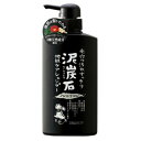 泥炭石 ノンシリコン 地肌ケアシャンプー 500mL