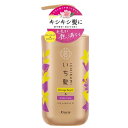 【ポイント10倍当店バナーよりエントリー必須】【2個・4個・6個セット】いち髪 ダメージリペア&カラーケア シャンプー ポンプ