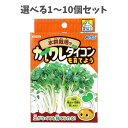 【ポイント10倍キャンペーン当店バナーよりエントリー必須】【選べる1~10個セット】てのひら実験室 水耕栽培でカイワレダイコンを育てよう 1セット (55430) 野菜栽培キット キッズ自由研究 夏休みの宿題 アーテック