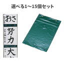 【ポイント10倍キャンペーン当店バナーよりエントリー必須】【選べる1〜15個セット】習字作品展示ホルダー (3304) 作品保管 書道 習字グッズ 小学生 アー...
