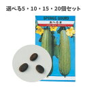 【ポイント10倍キャンペーン当店バナーよりエントリー必須】【選べる5・10・15・20個セット】野菜の種 ヘチマ (2736) 約10粒 家庭菜園 理科教材 野...