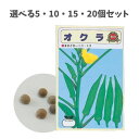 【ポイント10倍キャンペーン当店バナーよりエントリー必須】【選べる5・10・15・20個セット】野菜の種 オクラ (2739) 約20粒 ガーデニング 家庭菜園...