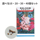 【ポイント10倍キャンペーン当店バナーよりエントリー必須】【選べる10・20・30・40個セット】花の種 ホウセンカ (2743) 約35〜40粒 ガーデニング...