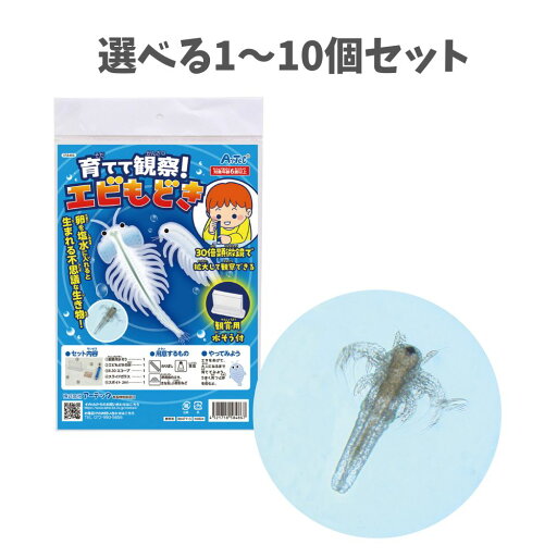 【ポイント10倍キャンペーン当店バナーよりエントリー必須】【選べる1~10個セット】育てて観察!エビもどき 観賞用水そう付 1セット (58486) 夏休み 実験キット キッズ 自由研究 アーテック 【ポイント10倍キャンペーン当店バナーよりエントリー必須】【選べる1~10個セット】育てて観察!エビもどき 観賞用水そう付 1セット (58486) 夏休み 実験キット キッズ 自由研究 アーテック