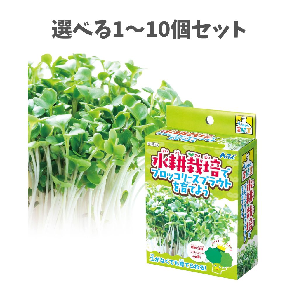 【ポイント10倍キャンペーン当店バナーよりエントリー必須】【選べる1～10個セット】てのひら実験室 水..