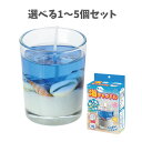 【ポイント10倍キャンペーン当店バナーよりエントリー必須】【選べる1~5個セット】ジェルキャンドルでつくる 手作り海キャンドル (55404) かわいい キャンドル ハンドメイド 夏休みの工作 工作キット キッズ アーテック